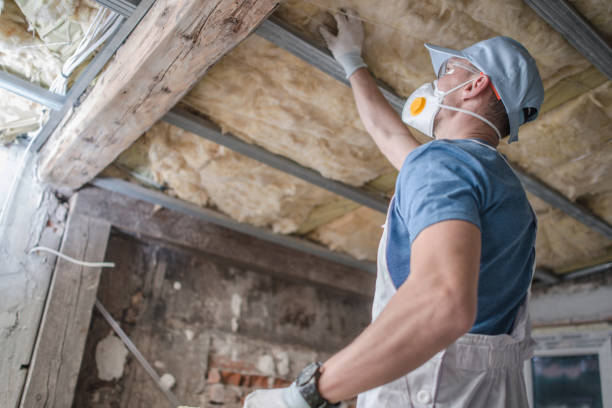 Best Eco-Friendly Insulation in Sand Springs, OK